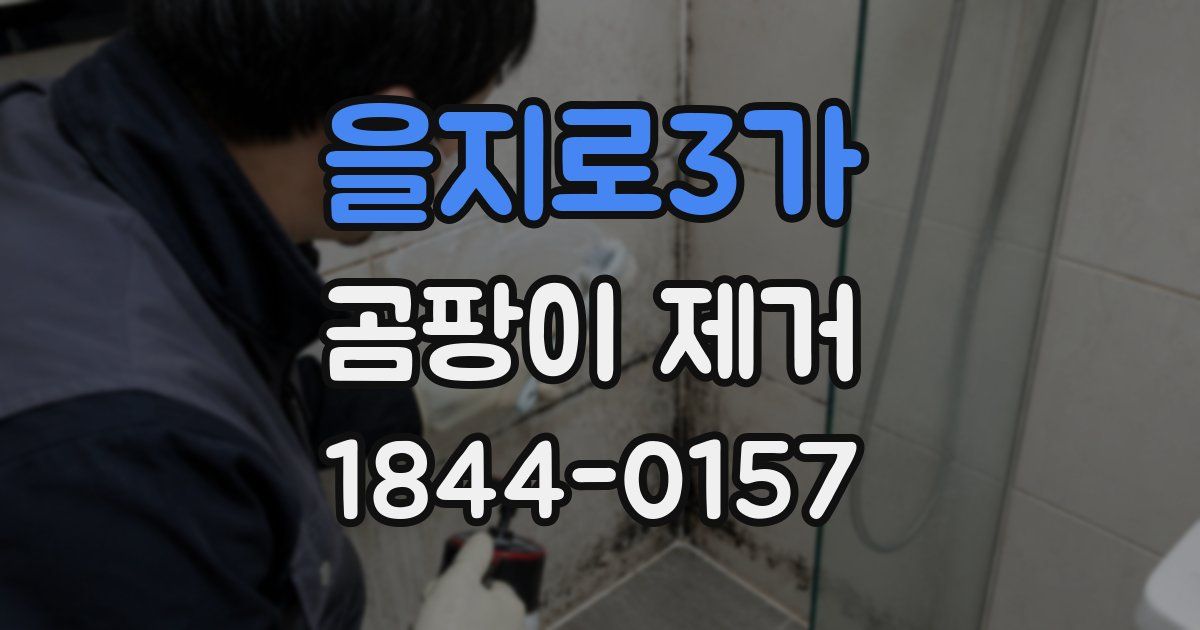 을지로3가 곰팡이 제거