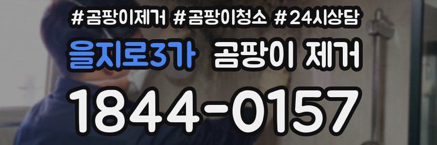 을지로3가 곰팡이 제거