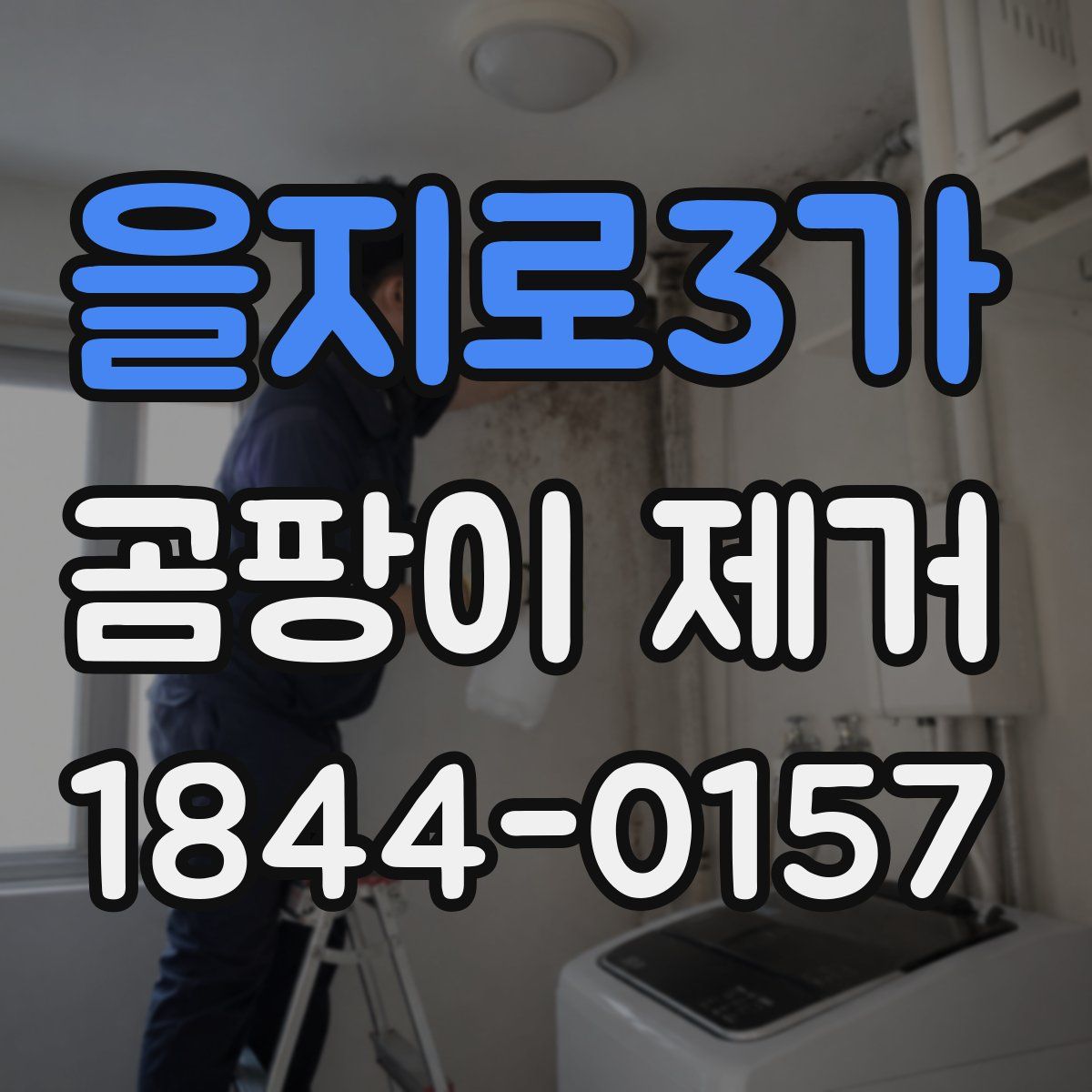 을지로3가 곰팡이 제거