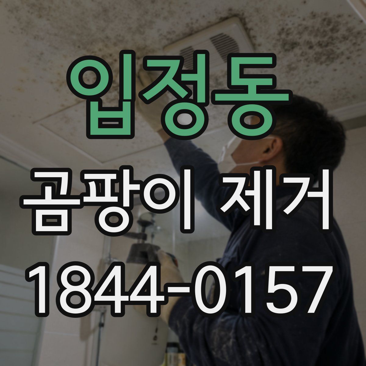 입정동 곰팡이 제거