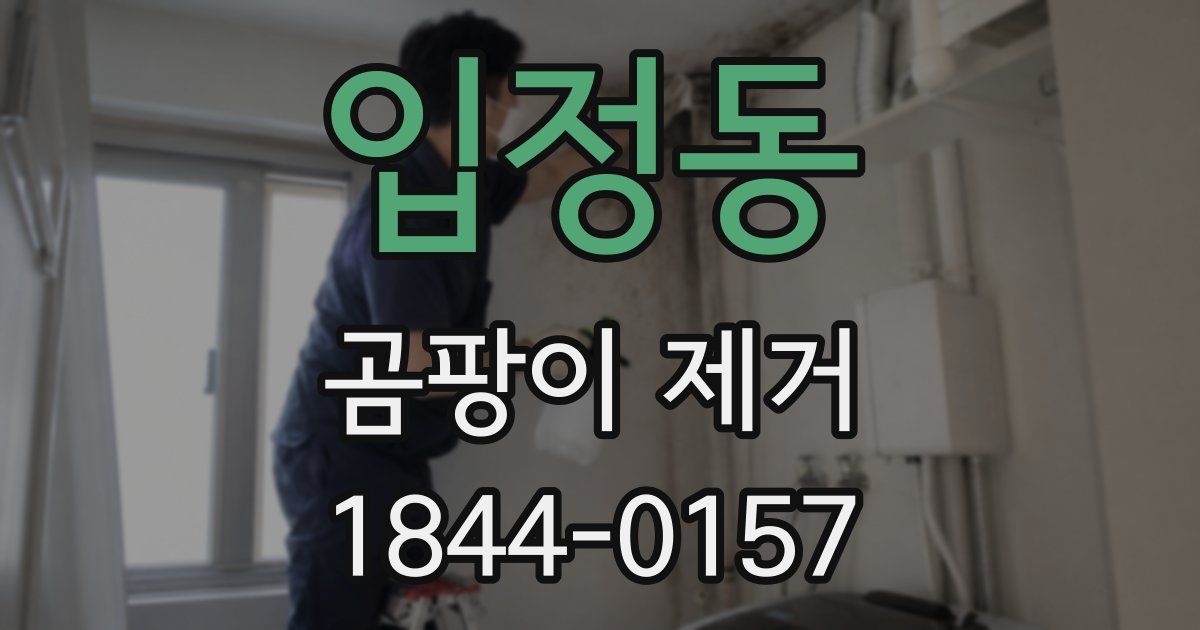 입정동 곰팡이 제거