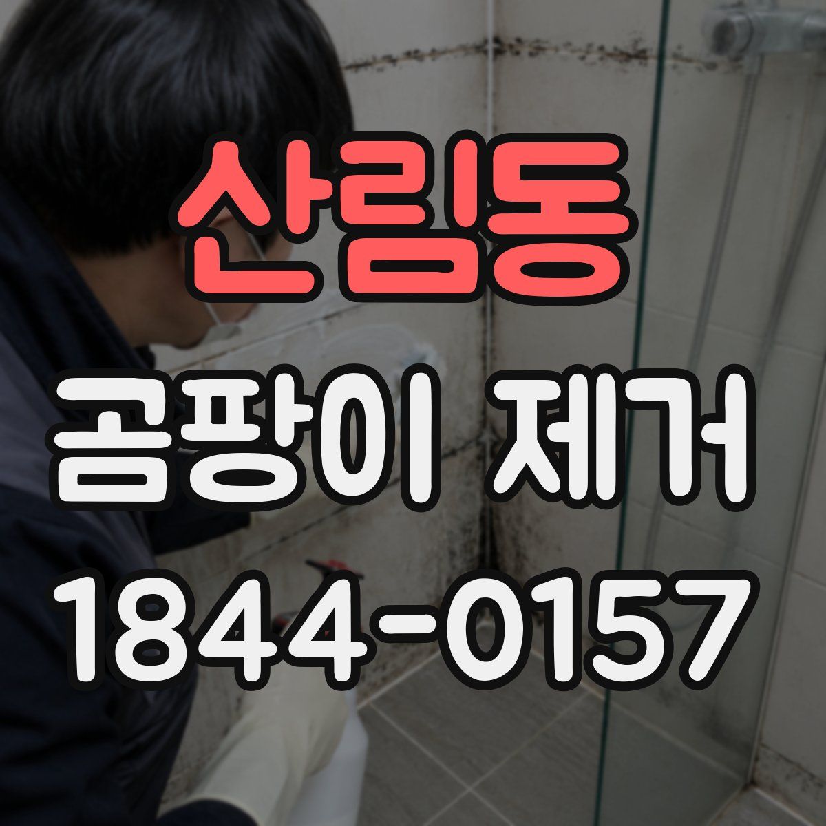 산림동 곰팡이 제거