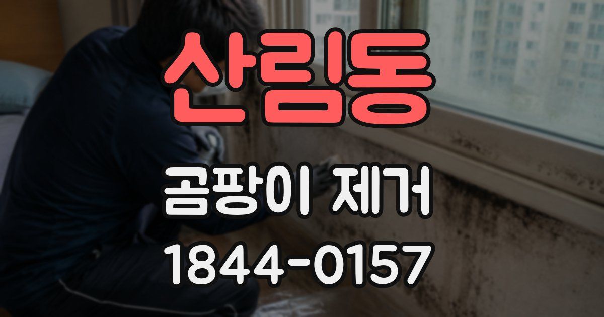 산림동 곰팡이 제거