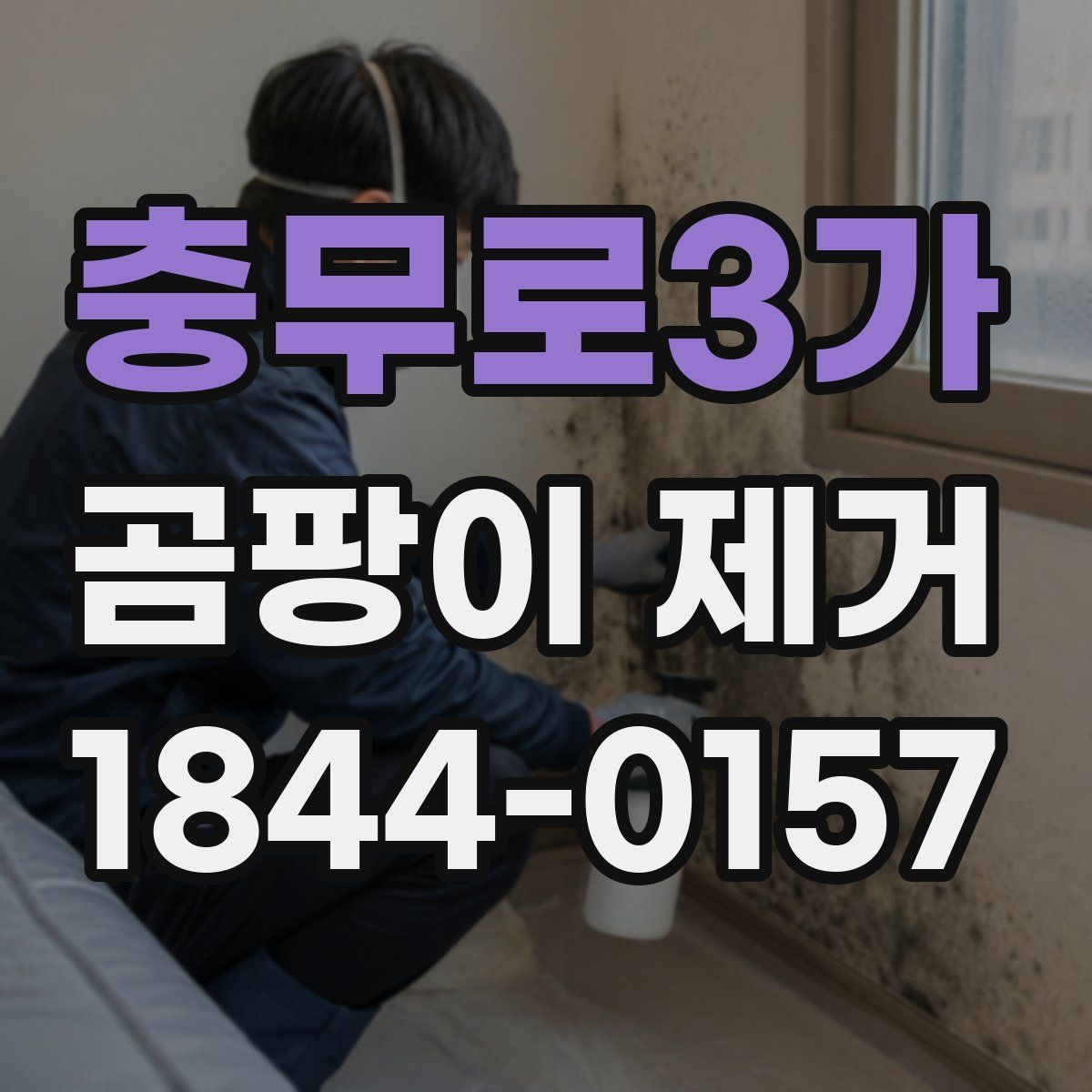 충무로3가 곰팡이 제거
