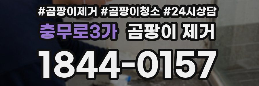 충무로3가 곰팡이 제거