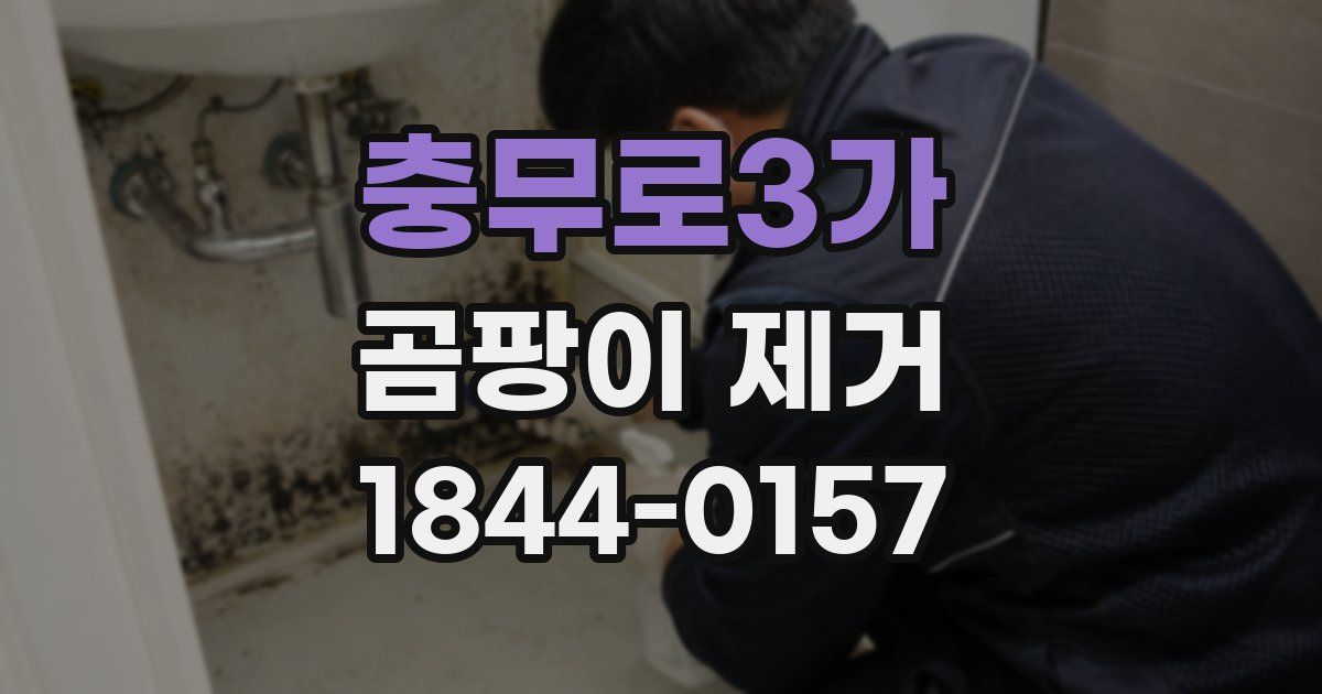 충무로3가 곰팡이 제거
