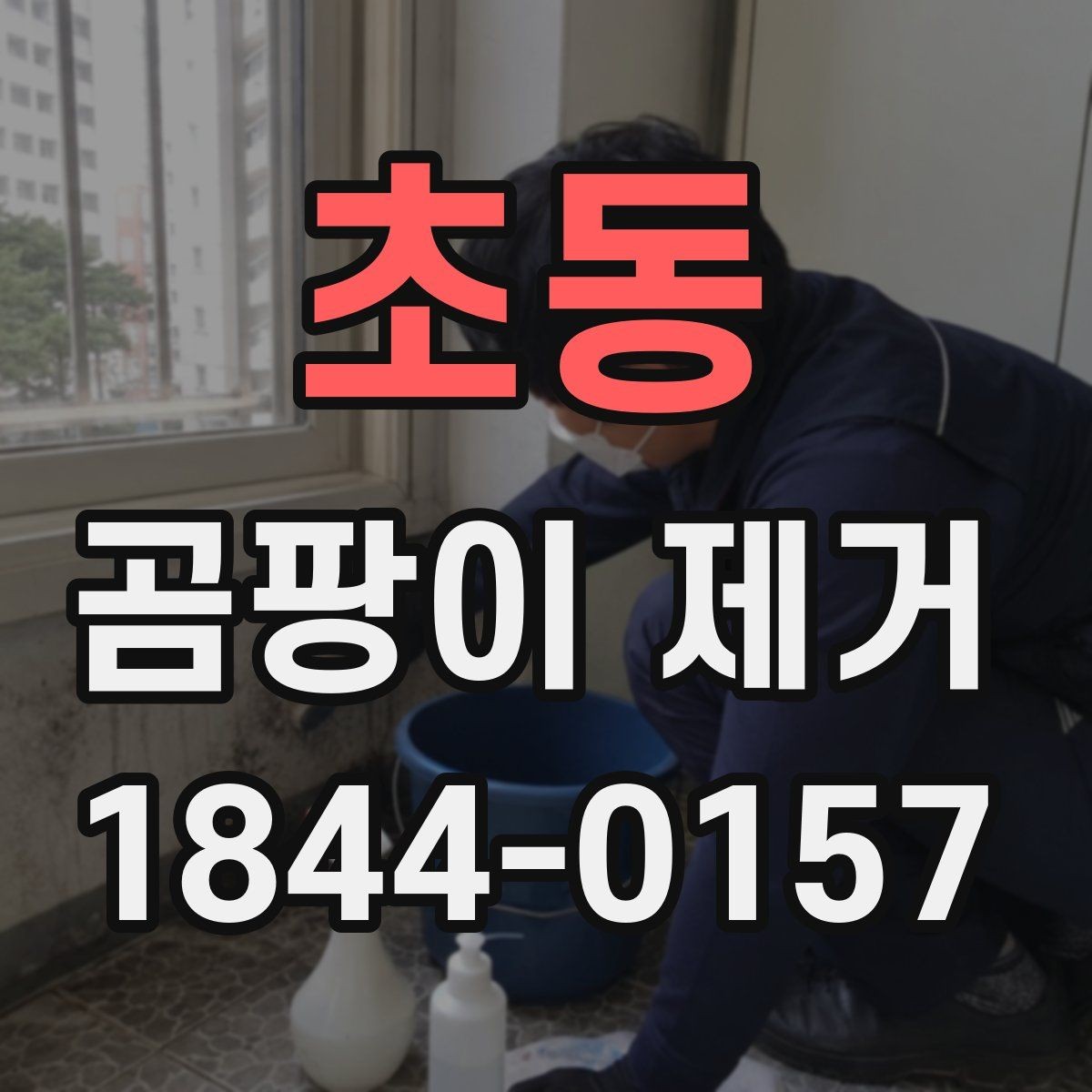 초동 곰팡이 제거 겨울 결로가 남긴 자국 대응 포인트