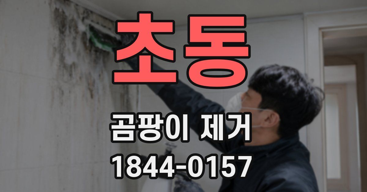 초동 곰팡이 제거