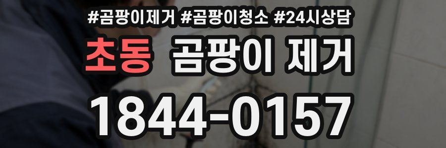 초동 곰팡이 제거