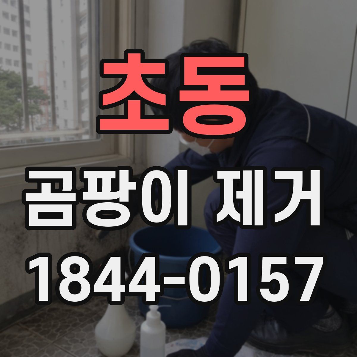 초동 곰팡이 제거