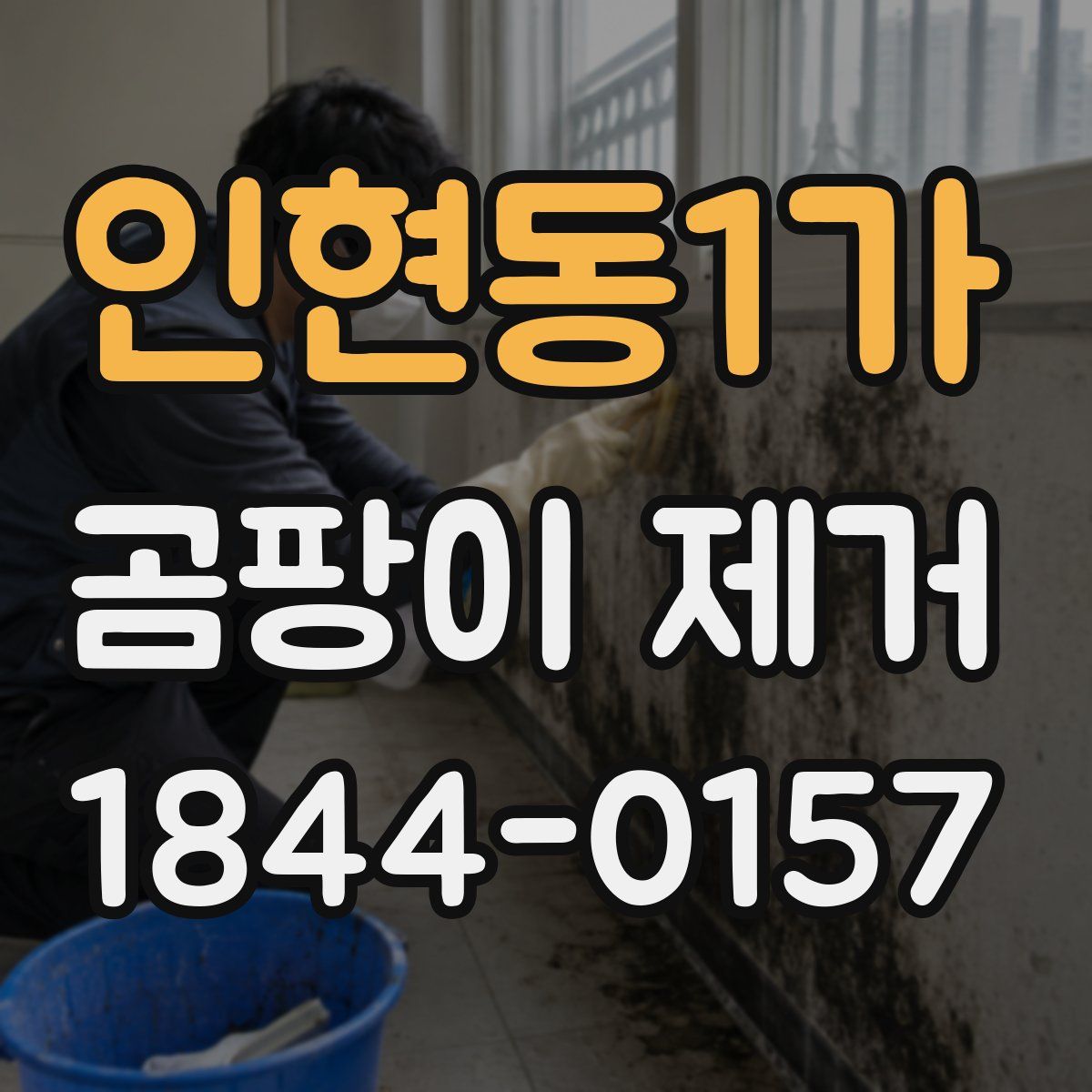 인현동1가 곰팡이 제거
