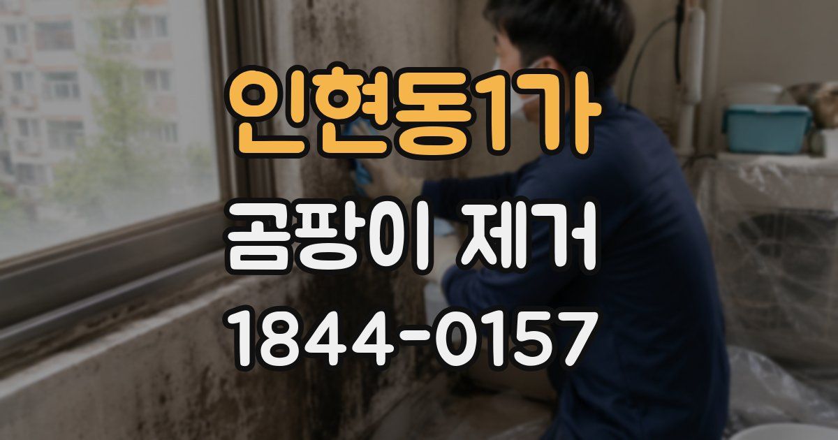 인현동1가 곰팡이 제거