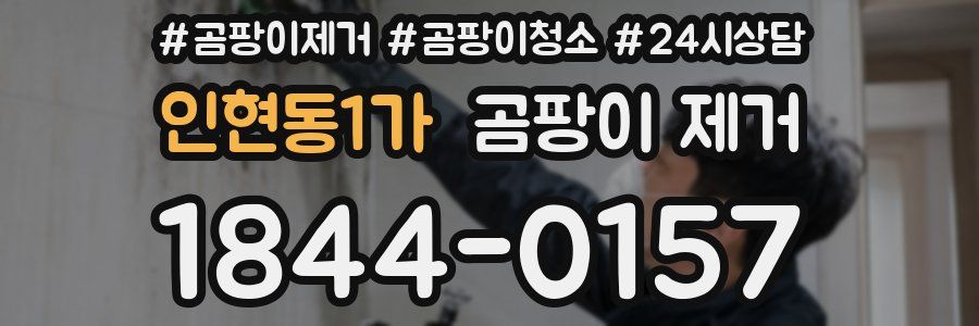 인현동1가 곰팡이 제거