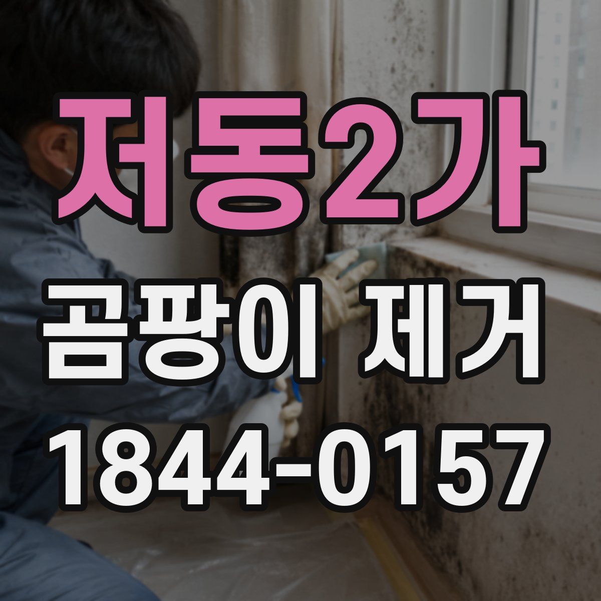 저동2가 곰팡이 제거