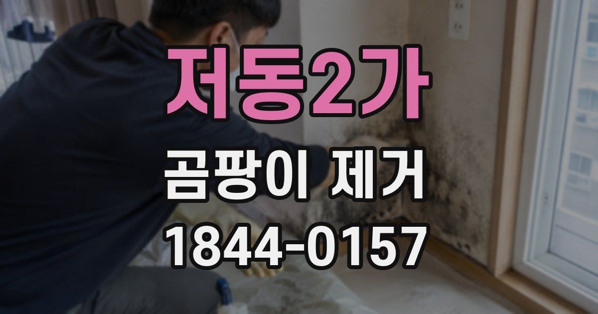 저동2가 곰팡이 제거