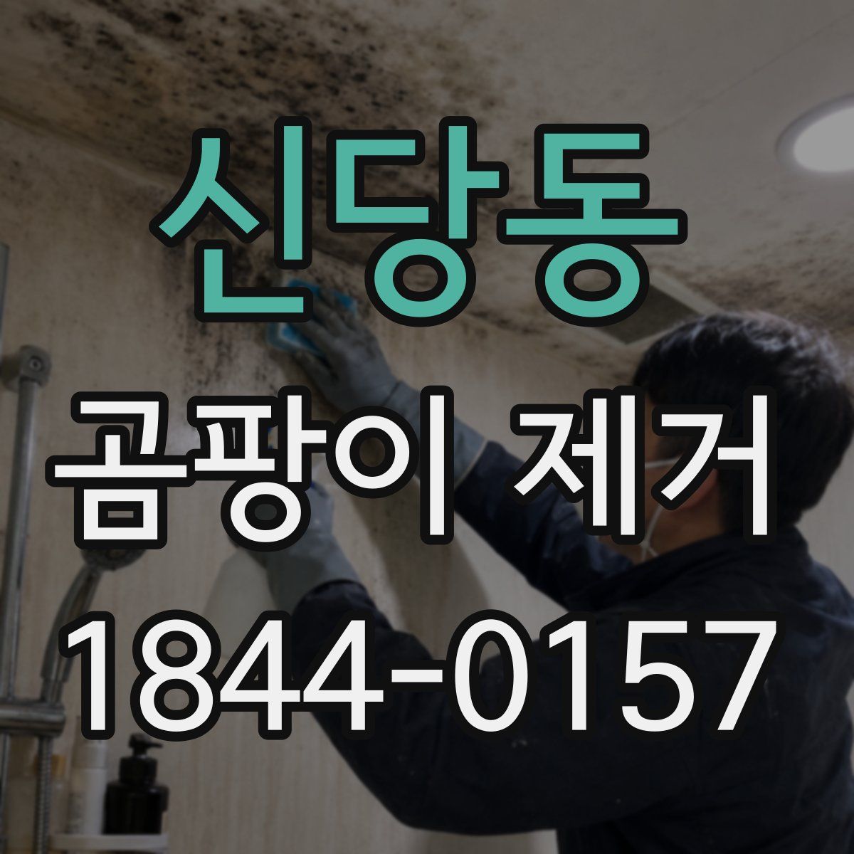신당동 곰팡이 제거