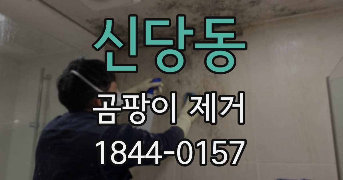신당동 곰팡이 제거
