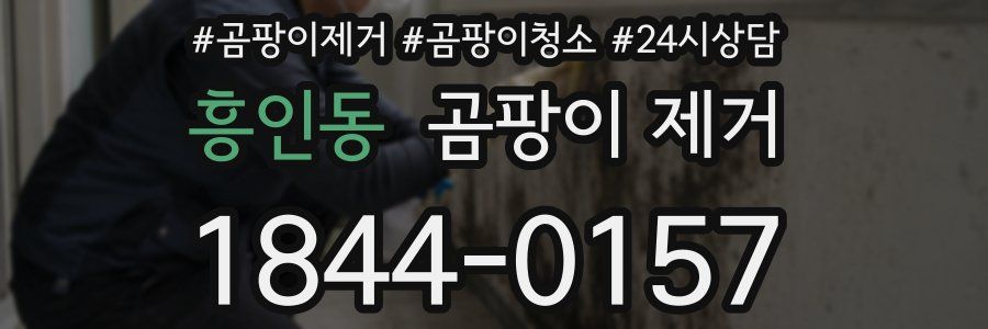 흥인동 곰팡이 제거