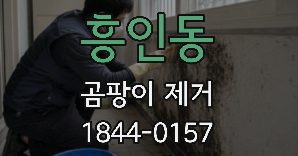 흥인동 곰팡이 제거