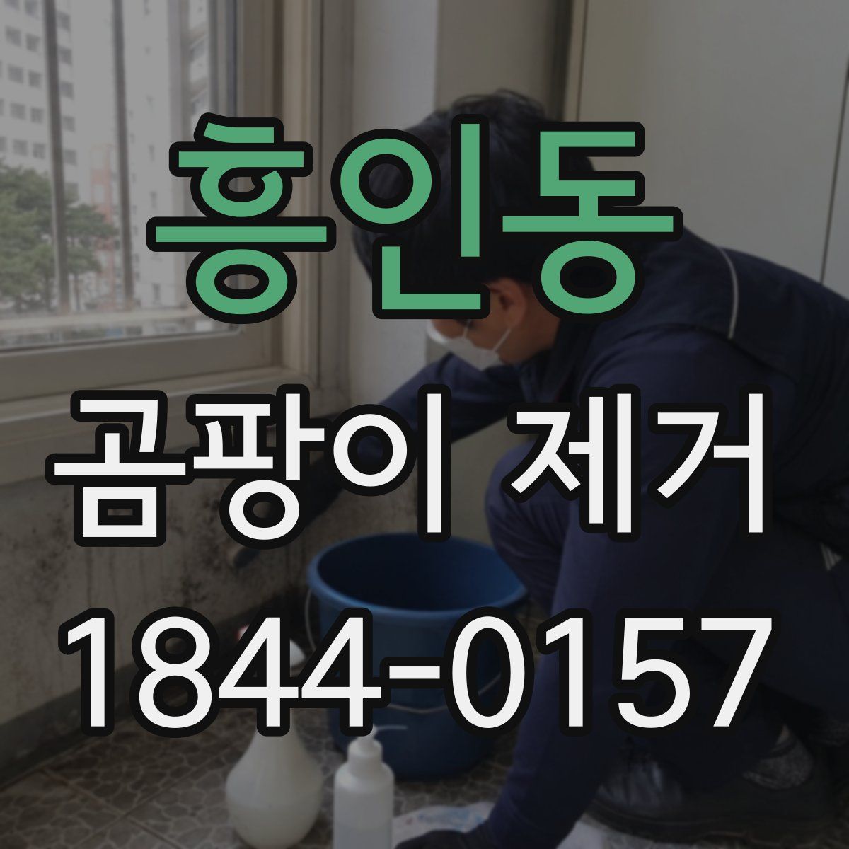 흥인동 곰팡이 제거