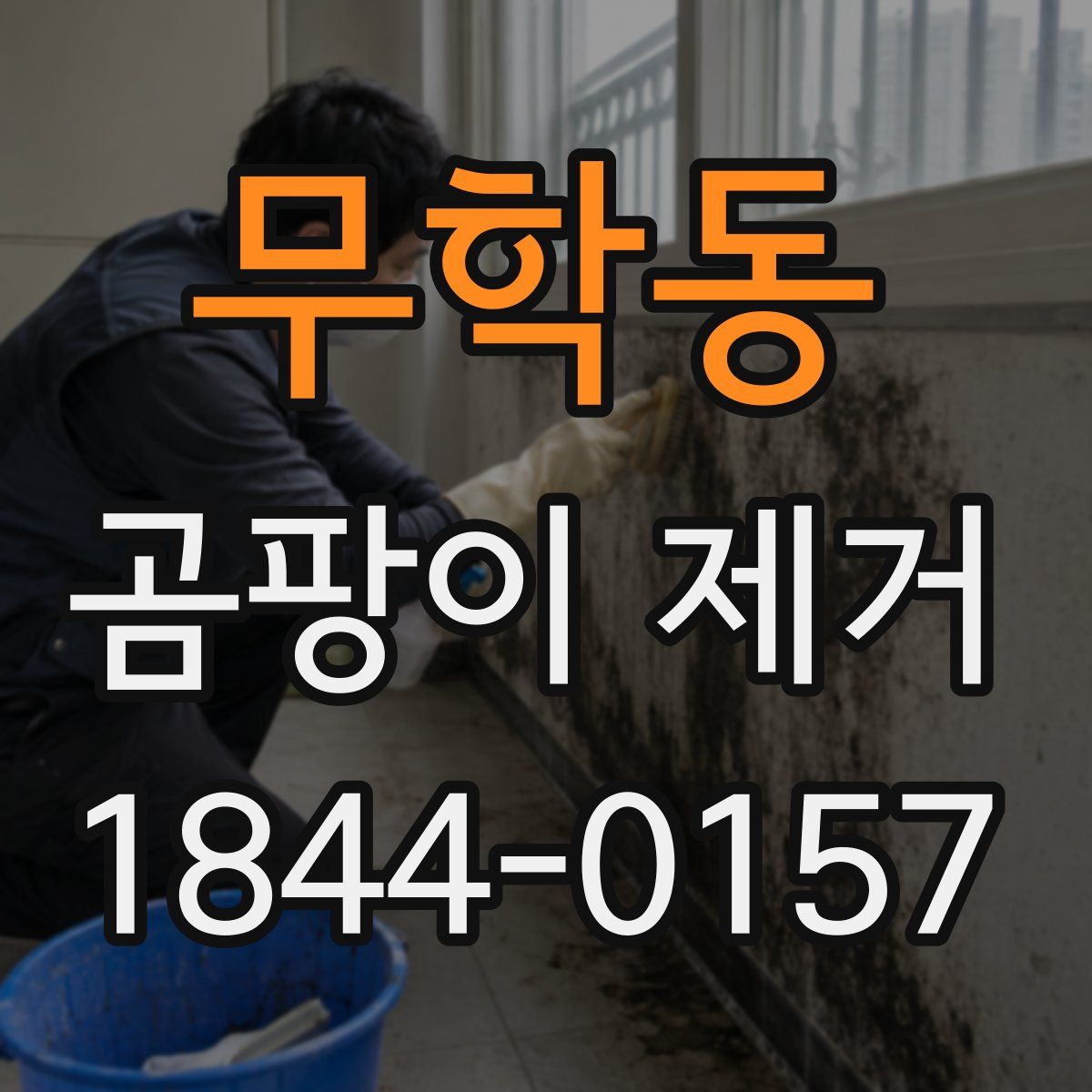 무학동 곰팡이 제거