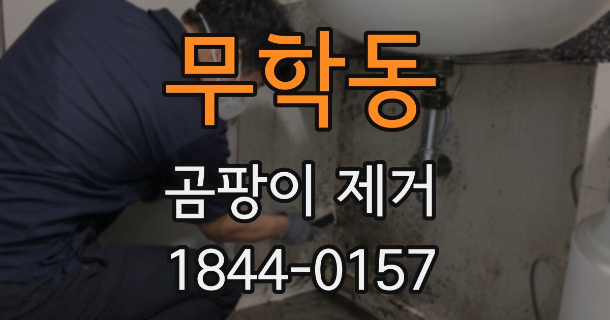 무학동 곰팡이 제거