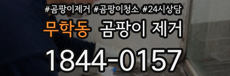 무학동 곰팡이 제거