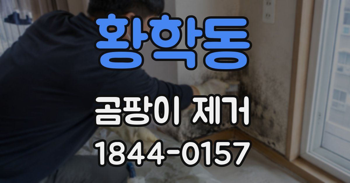 황학동 곰팡이 제거