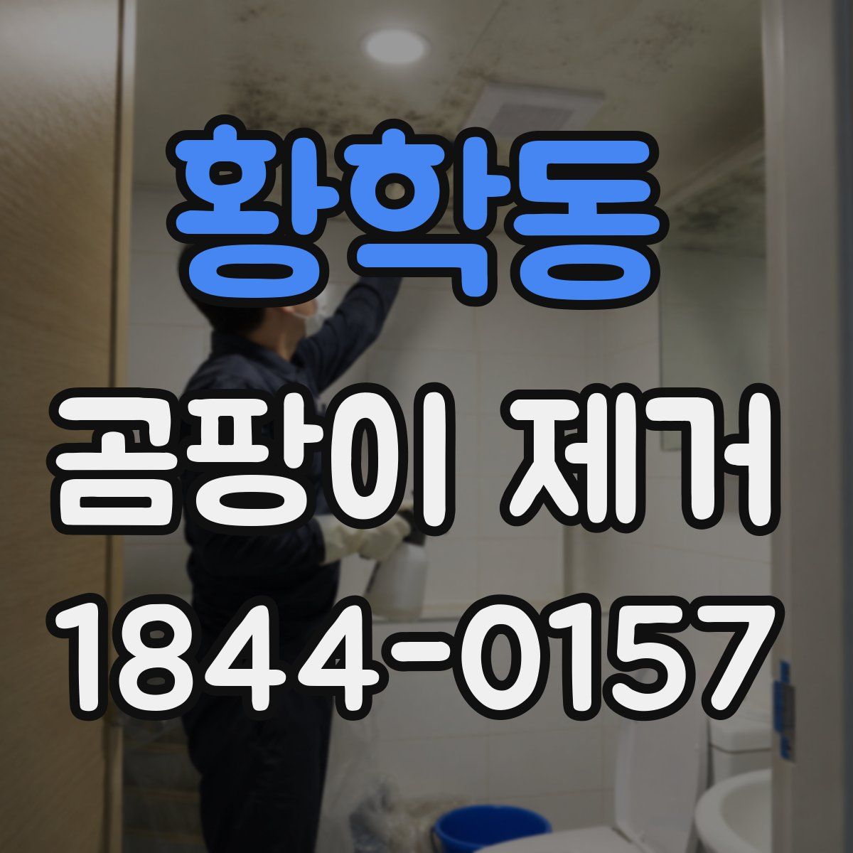 황학동 곰팡이 제거