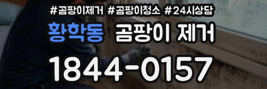 황학동 곰팡이 제거