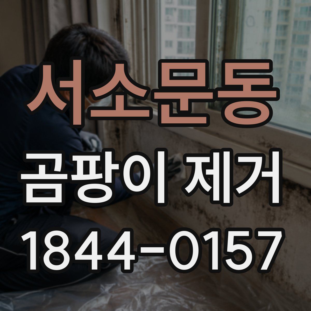 서소문동 곰팡이 제거