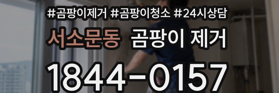 서소문동 곰팡이 제거