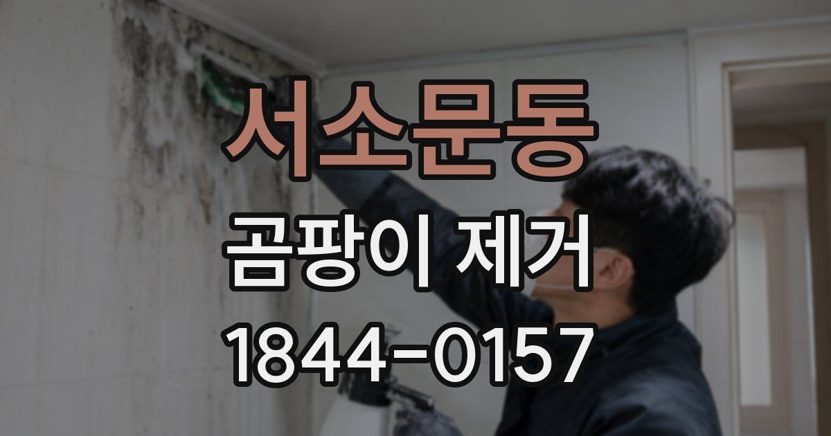 서소문동 곰팡이 제거