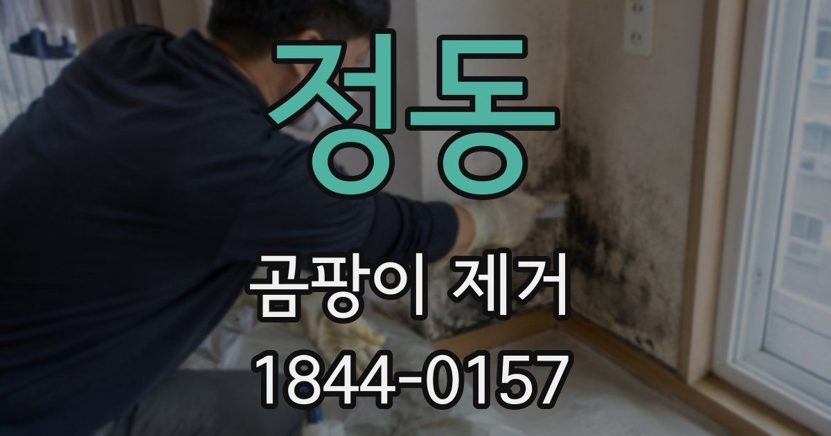 정동 곰팡이 제거