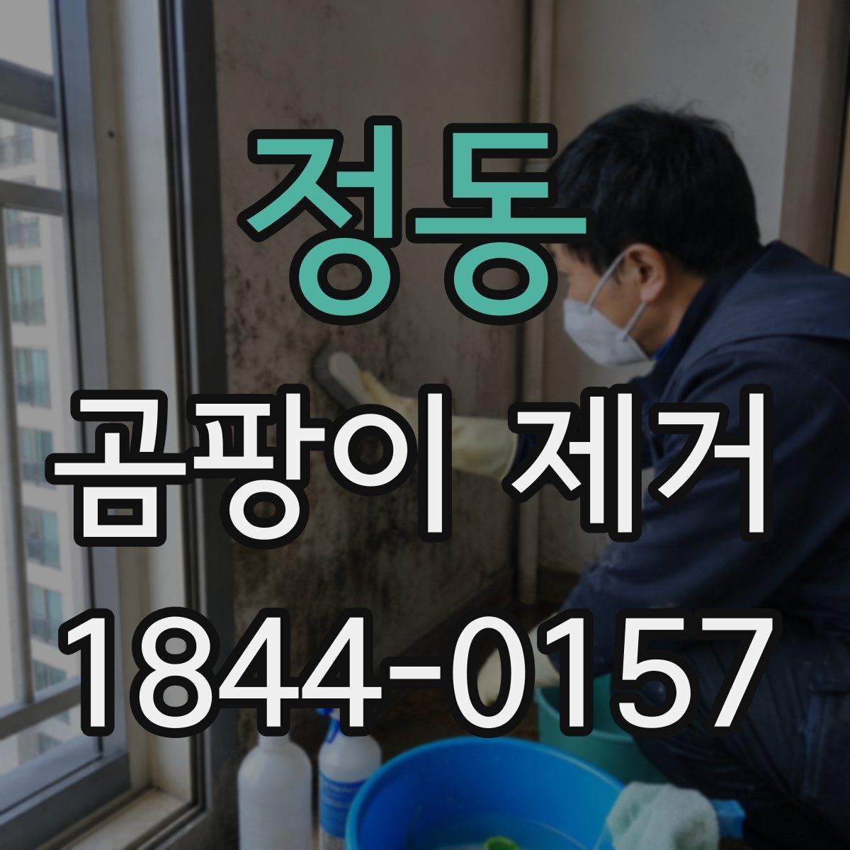 정동 곰팡이 제거