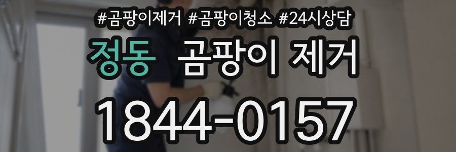 정동 곰팡이 제거