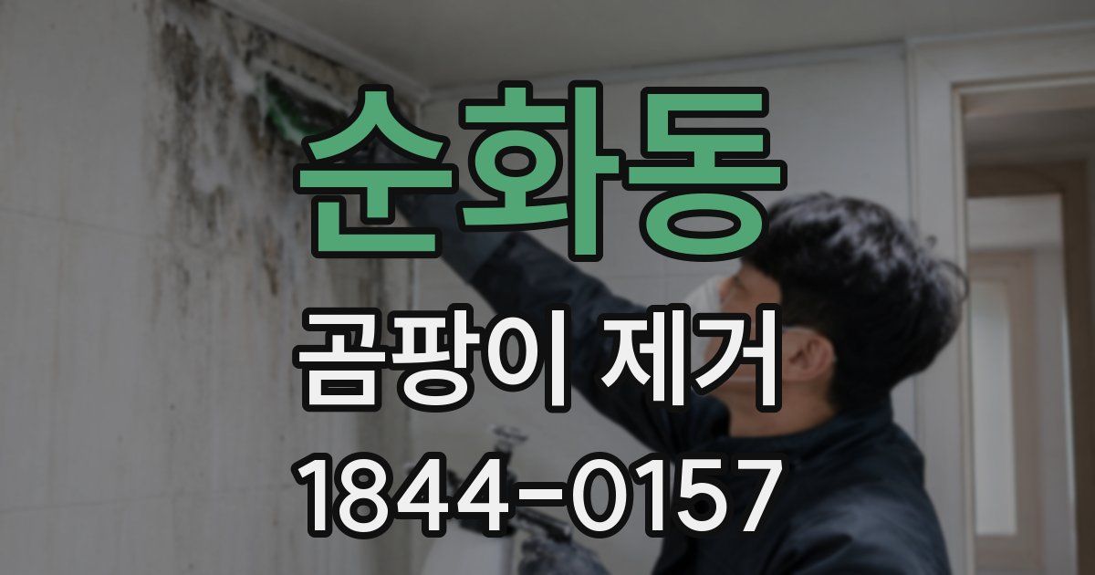 순화동 곰팡이 제거
