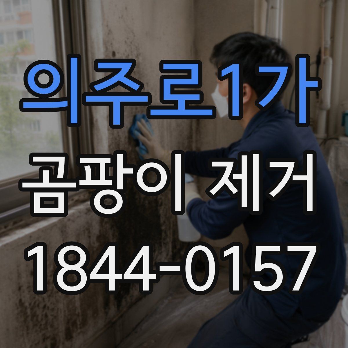 의주로1가 곰팡이 제거 계절별로 달라지는 발생 위치 살피기