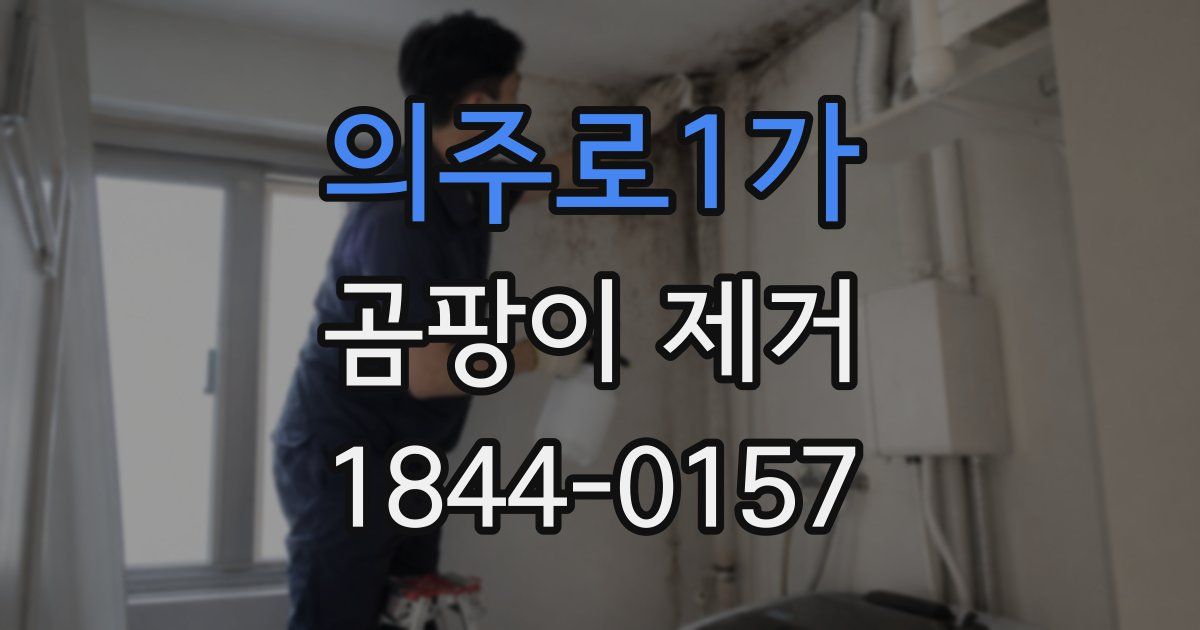 의주로1가 곰팡이 제거