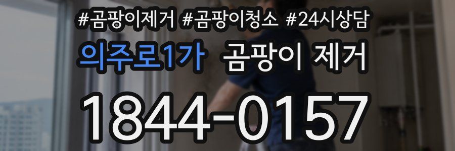 의주로1가 곰팡이 제거