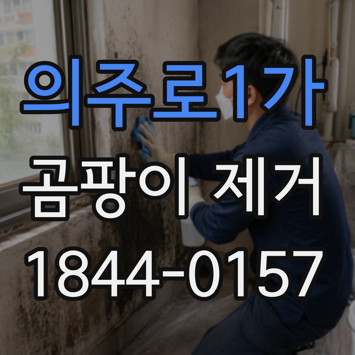 의주로1가 곰팡이 제거