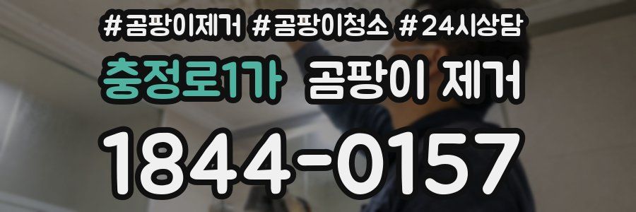 충정로1가 곰팡이 제거