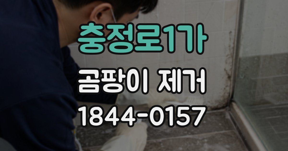 충정로1가 곰팡이 제거
