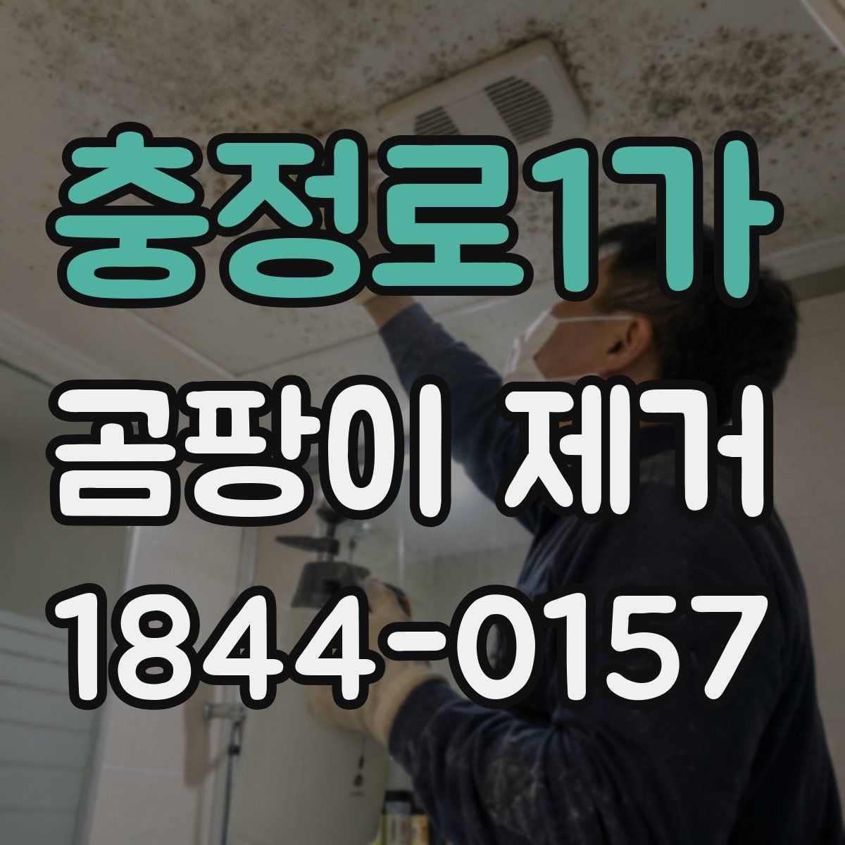 충정로1가 곰팡이 제거