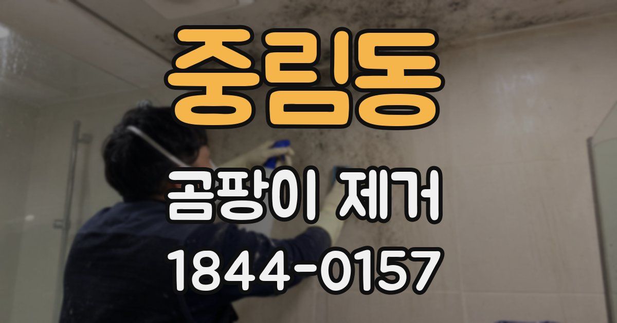 중림동 곰팡이 제거