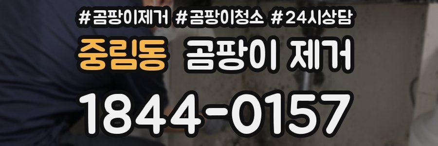 중림동 곰팡이 제거