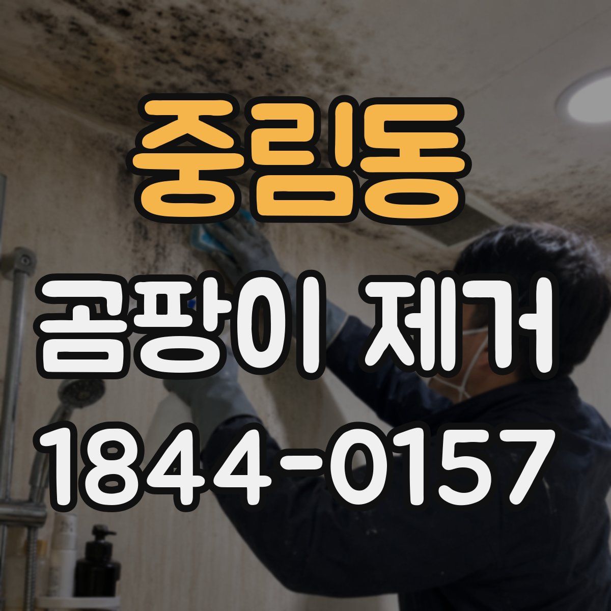 중림동 곰팡이 제거
