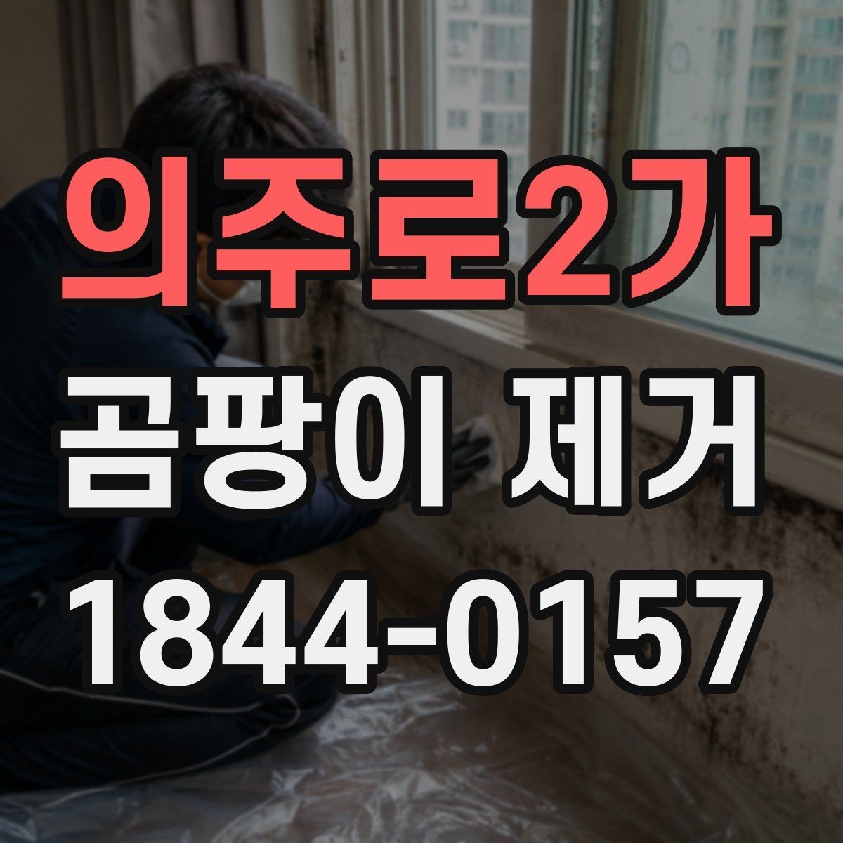 의주로2가 곰팡이 제거 입주 전에 꼭 보는 누수 흔적 체크