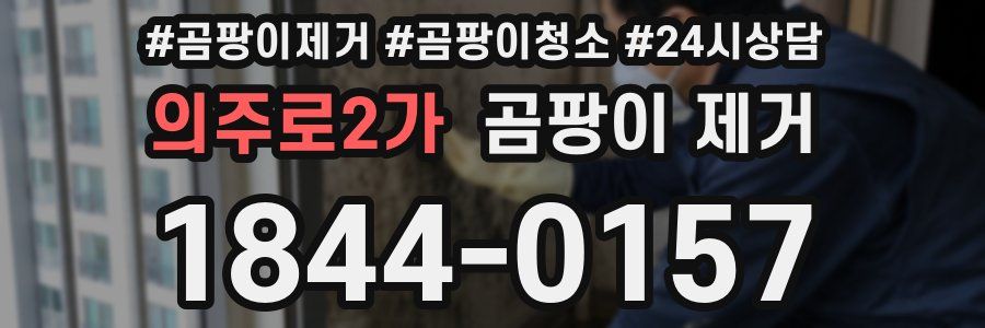 의주로2가 곰팡이 제거