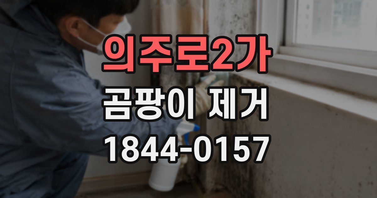 의주로2가 곰팡이 제거